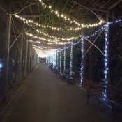 Večerní park u městské pláže v centru města Burgasu.