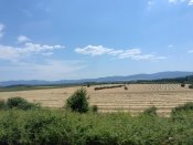 Okolní krajina u Kazanlaku.