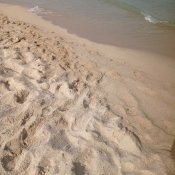 Pláž v centru Obzoru.