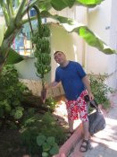 V Turecku se hojně pěstují banánovníky.