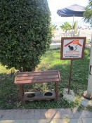 Turci si hodně zakládají na péči o kočky.