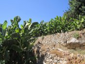 Cesta od kostela svatého Jiří zpět dolu do města Alanya.