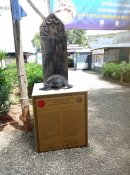 V areálu záchranné stanice pro mořské želvy u pláže İztuzu.