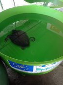 Želvy v záchranné stanici u pláže İztuzu.